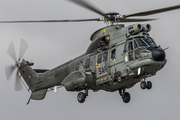 Spanish Air Force (Ejército del Aire) Eurocopter AS332L1 Super Puma (HD.21-17) at  Gran Canaria, Spain