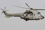 Spanish Air Force (Ejército del Aire) Airbus Helicopters H215M Super Puma (HD.21-18) at  Tenerife Sur - Reina Sofia, Spain