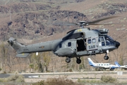 Spanish Air Force (Ejército del Aire) Airbus Helicopters H215M Super Puma (HD.21-18) at  El Berriel, Spain