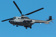 Spanish Air Force (Ejército del Aire) Airbus Helicopters H215M Super Puma (HD.21-21) at  Gran Canaria, Spain