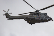 Spanish Air Force (Ejército del Aire) Airbus Helicopters H215M Super Puma (HD.21-21) at  Gran Canaria, Spain