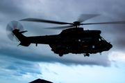 Spanish Air Force (Ejército del Aire) Airbus Helicopters H215M Super Puma (HD.21-21) at  Gran Canaria, Spain