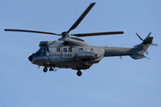 Spanish Air Force (Ejército del Aire) Airbus Helicopters H215M Super Puma (HD.21-21) at  Tenerife Norte - Los Rodeos, Spain