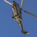 Spanish Air Force (Ejército del Aire) Aerospatiale AS332B1 Super Puma (HD.21-04) at  Gran Canaria, Spain