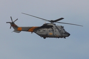 Spanish Air Force (Ejército del Aire) Aerospatiale AS332F Super Puma (HD.21-8) at  Gran Canaria, Spain