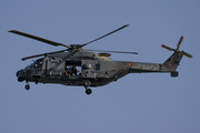 Spanish Air Force (Ejército del Aire) NH Industries NH90-TTH (HD.29-16) at  Lanzarote - Arrecife, Spain