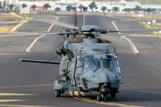 Spanish Air Force (Ejército del Aire) NH Industries NH90-TTH (HD.29-18) at  Lanzarote - Arrecife, Spain