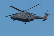 Spanish Air Force (Ejército del Aire) NH Industries NH90-TTH (HD.29-18) at  Gran Canaria, Spain