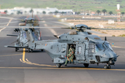 Spanish Air Force (Ejército del Aire) NH Industries NH90-TTH (HD.29-20) at  Lanzarote - Arrecife, Spain