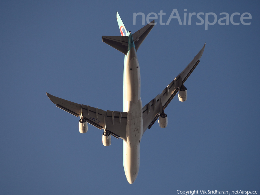 Korean Air Cargo Boeing 747-8B5F (HL7617) | Photo 184596