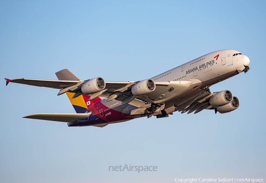 Asiana Airlines Airbus A380-841 (HL7625) | Photo 346893