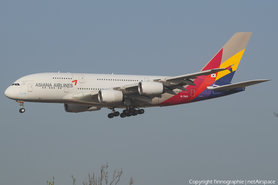 Asiana Airlines Airbus A380-841 (HL7625) | Photo 564224