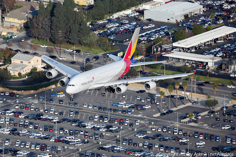 Asiana Airlines Airbus A380-841 (HL7626) | Photo 222818