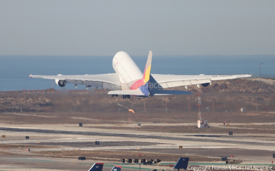Asiana Airlines Airbus A380-841 (HL7626) | Photo 655492
