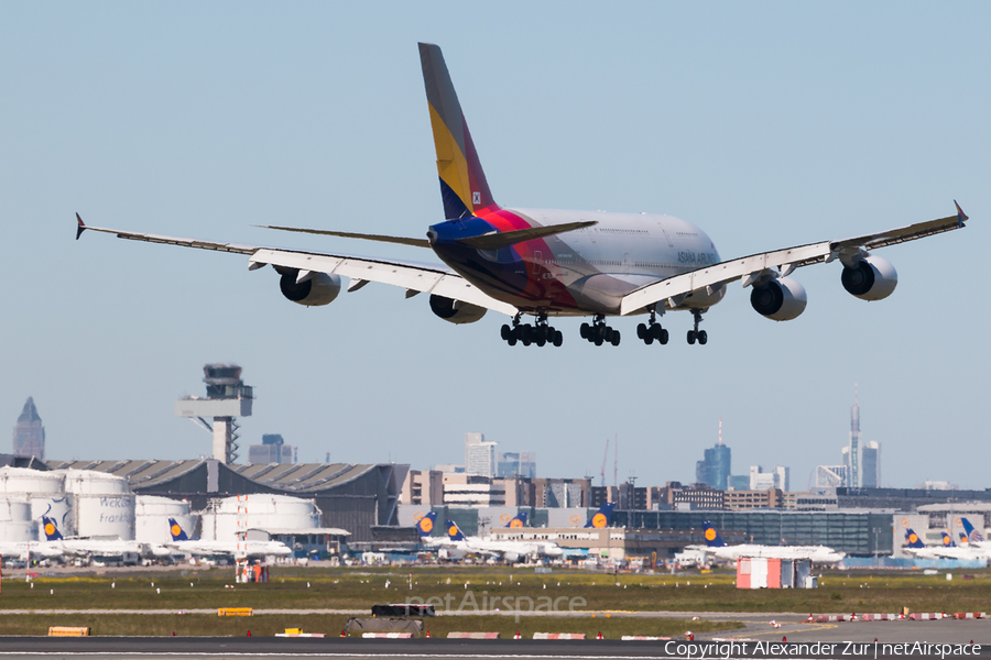 Asiana Airlines Airbus A380-841 (HL7634) | Photo 243486