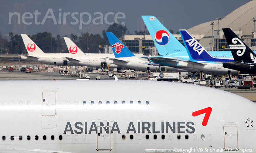 Asiana Airlines Airbus A380-841 (HL7635) | Photo 130606
