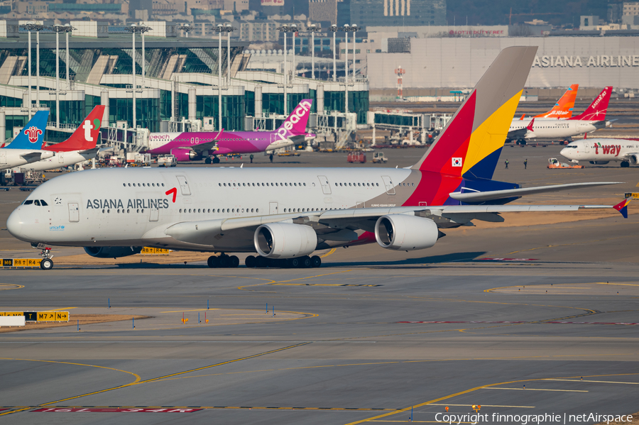 Asiana Airlines Airbus A380-841 (HL7641) | Photo 600471