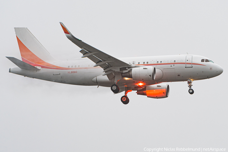 (Private) Airbus A319-115X CJ (HL8080) | Photo 359723