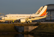 (Private) Airbus A319-115X CJ (HL8080) at  Hamburg - Fuhlsbuettel (Helmut Schmidt), Germany