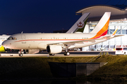 (Private) Airbus A319-115X CJ (HL8080) at  Hamburg - Fuhlsbuettel (Helmut Schmidt), Germany