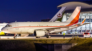 (Private) Airbus A319-115X CJ (HL8080) at  Hamburg - Fuhlsbuettel (Helmut Schmidt), Germany