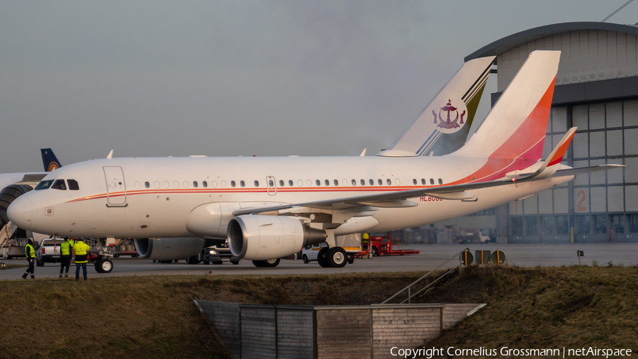 (Private) Airbus A319-115X CJ (HL8080) | Photo 414997