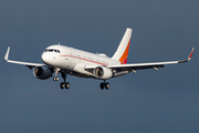 (Private) Airbus A319-115X CJ (HL8080) at  Hamburg - Fuhlsbuettel (Helmut Schmidt), Germany