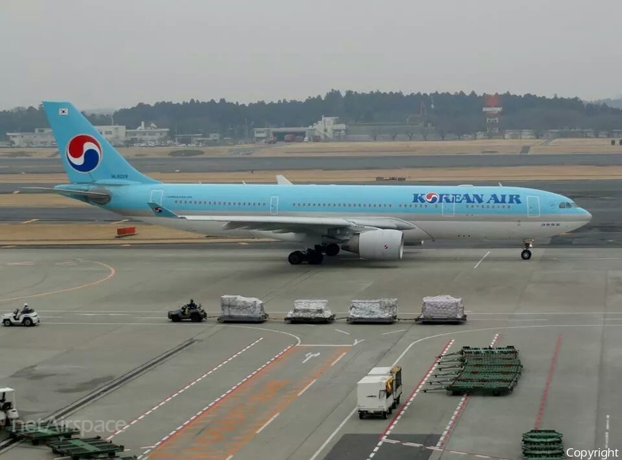 Korean Air Airbus A330-223 (HL8228) | Photo 61971
