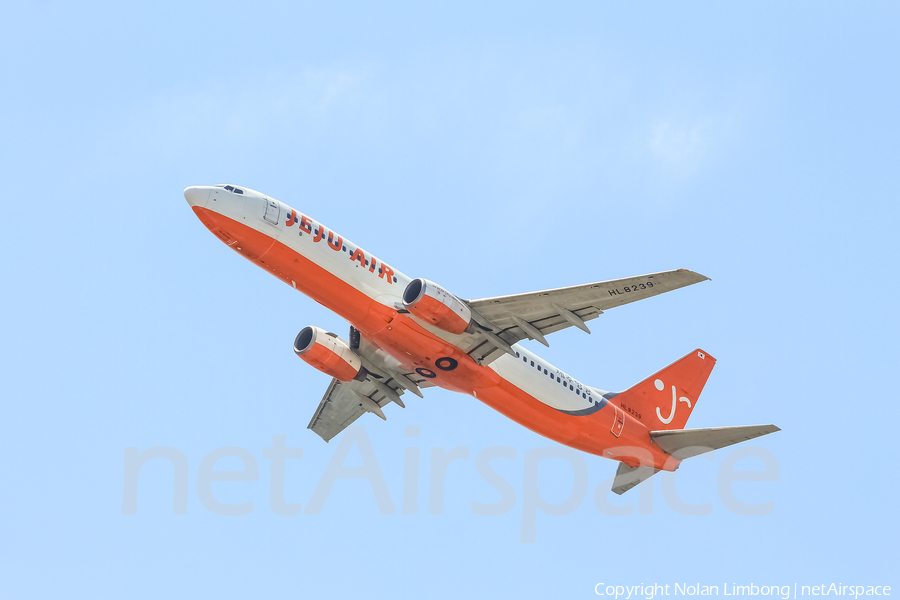 Jeju Air Boeing 737-82R (HL8239) | Photo 427640