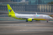 Jin Air Boeing 737-8SH (HL8246) at  Tokyo - Narita International, Japan