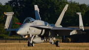 Finnish Air Force McDonnell Douglas F/A-18C Hornet (HN-407) at  Hohn - NATO Flugplatz, Germany
