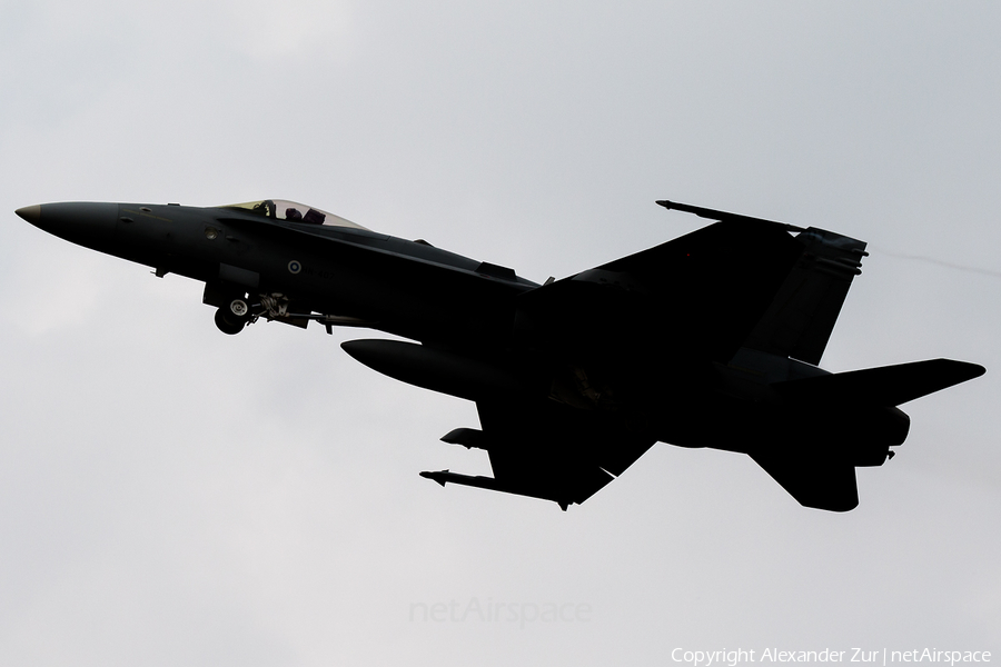 Finnish Air Force McDonnell Douglas F/A-18C Hornet (HN-407) | Photo 576770