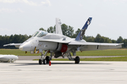 Finnish Air Force McDonnell Douglas F/A-18C Hornet (HN-411) at  Radom, Poland