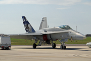 Finnish Air Force McDonnell Douglas F/A-18C Hornet (HN-411) at  Radom, Poland