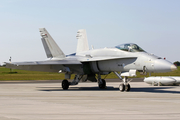 Finnish Air Force McDonnell Douglas F/A-18C Hornet (HN-415) at  Radom, Poland