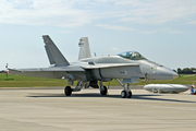 Finnish Air Force McDonnell Douglas F/A-18C Hornet (HN-415) at  Radom, Poland