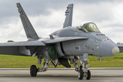 Finnish Air Force McDonnell Douglas F/A-18C Hornet (HN-415) at  Radom, Poland
