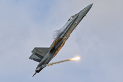Finnish Air Force McDonnell Douglas F/A-18C Hornet (HN-415) at  Radom, Poland