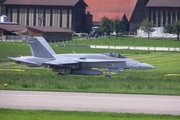 Finnish Air Force McDonnell Douglas F/A-18C Hornet (HN-418) at  Payerne Air Base, Switzerland