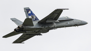 Finnish Air Force McDonnell Douglas F/A-18C Hornet (HN-421) at  Ostrava - Leos Janacek, Czech Republic
