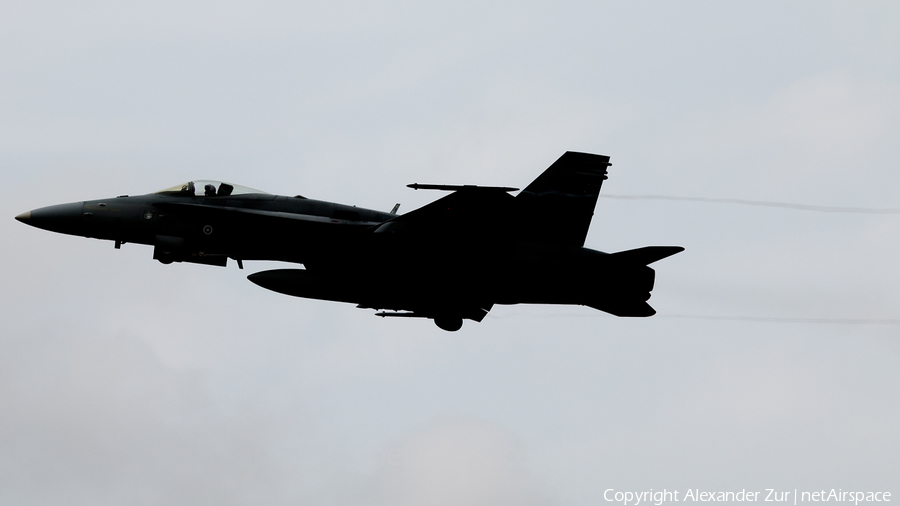 Finnish Air Force McDonnell Douglas F/A-18C Hornet (HN-433) | Photo 576774
