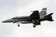 Finnish Air Force McDonnell Douglas F/A-18C Hornet (HN-434) at  Volkel - Air Base, Netherlands