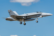 Finnish Air Force McDonnell Douglas F/A-18C Hornet (HN-437) at  Hohn - NATO Flugplatz, Germany