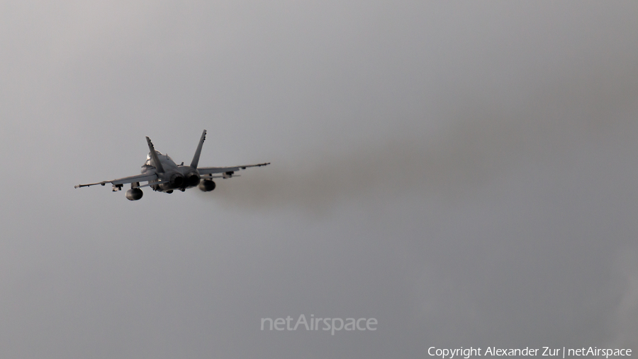 Finnish Air Force McDonnell Douglas F/A-18C Hornet (HN-437) | Photo 576775