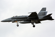 Finnish Air Force McDonnell Douglas F/A-18C Hornet (HN-452) at  Volkel - Air Base, Netherlands