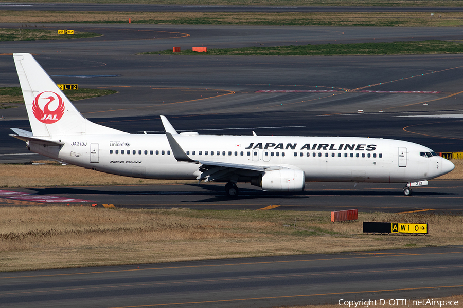 Japan Airlines - JAL Boeing 737-846 (JA313J) | Photo 396471
