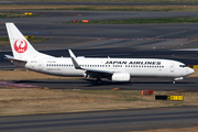 Japan Airlines - JAL Boeing 737-846 (JA313J) at  Tokyo - Haneda International, Japan