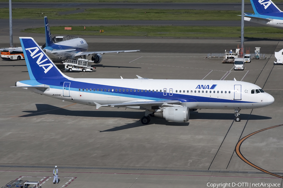 All Nippon Airways - ANA Airbus A320-211 (JA8391) | Photo 418208