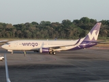 Wingo Boeing 737-8V3 (HP-1536CMP) at  Panama City - Tocumen International, Panama