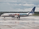 Copa Airlines Boeing 737-8V3 (HP-1730CMP) at  Santo Domingo - Las Americas-JFPG International, Dominican Republic
